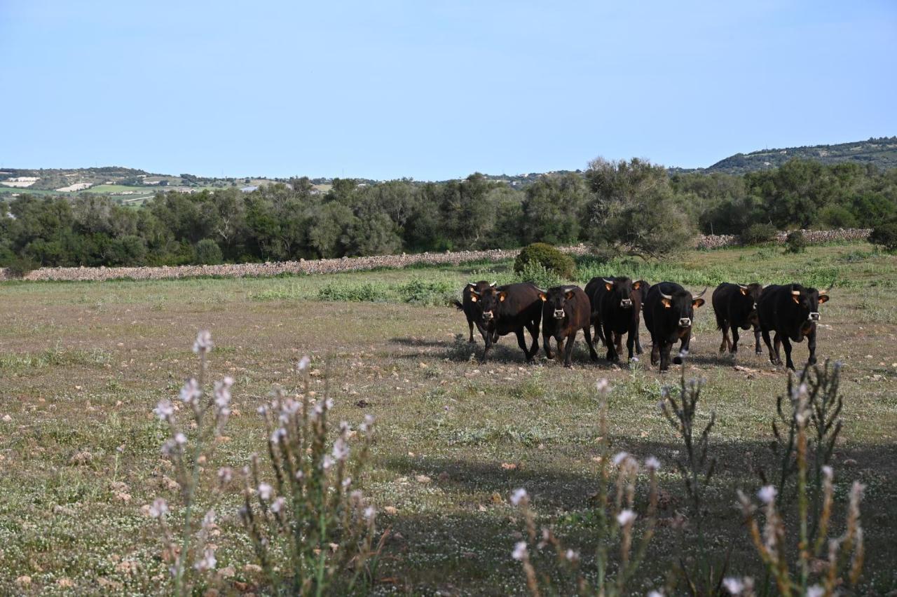 Finca Sa Cova Vella Manacor  Exterior foto