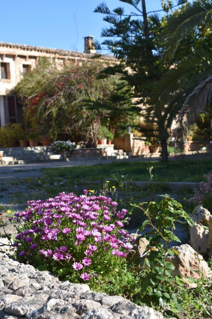 Finca Sa Cova Vella Manacor  Exterior foto